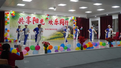 共享陽光 歡樂同行 文化交流活動在犍為舉行