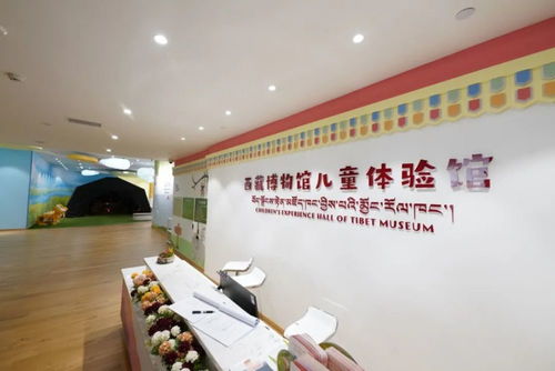 這里的 寶貝 居然可以 帶 回家